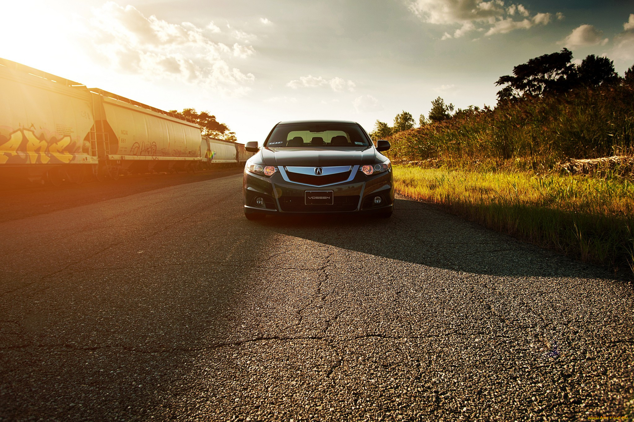 , acura, tsx